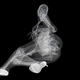 Image for article titled X-Ray Console Quiz!